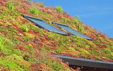 Kiplin living roof systems