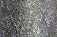 Kiplin fibreglass roof work